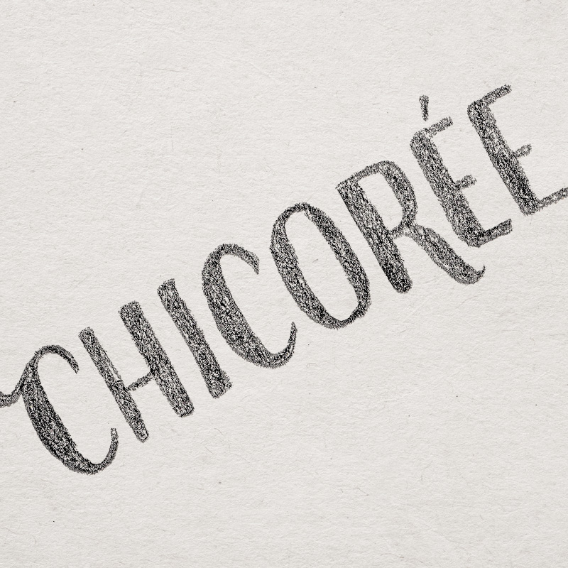 lieblingssachen_chicoree