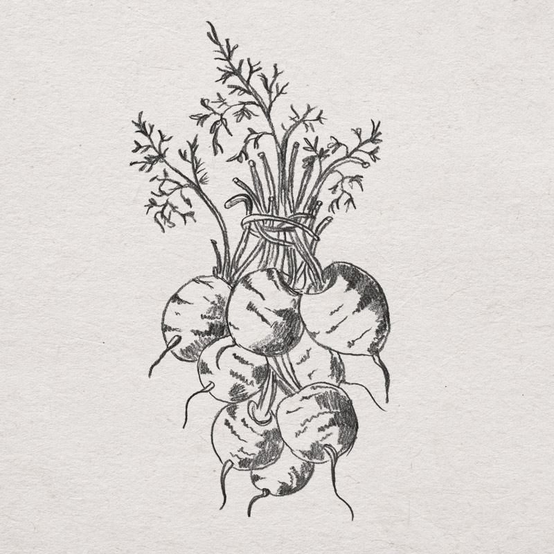 lieblingssachen_rueben